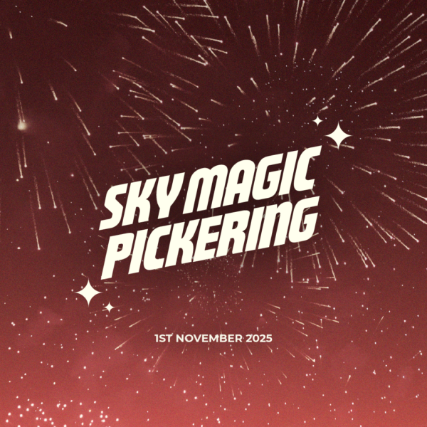 HALF PRICE family ticket to the Sky Magic Events Firework Spectacular - Pickering